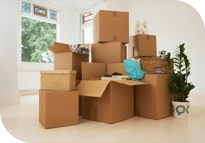 move section